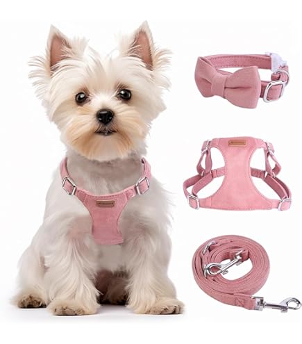●LOTONE & J-DOG Zmiley No-Pull Dog Harness - Adjustable, 3 Sizes - Zee.Dog